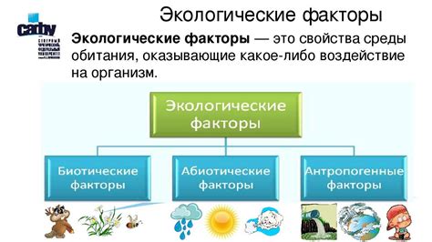 Агрессивные факторы окружающей среды