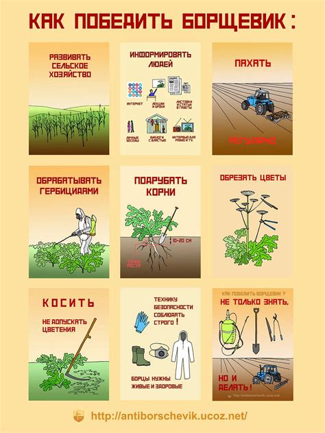 Агротехнические способы борьбы