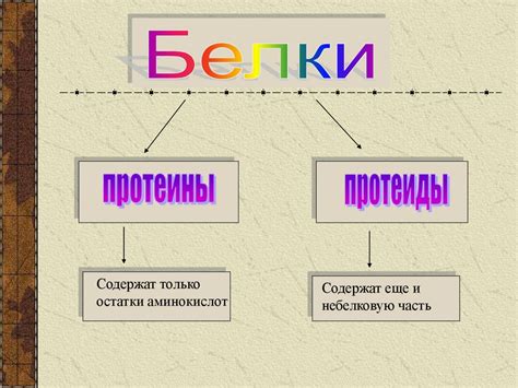 Адаптация белки 6 класс к полазке