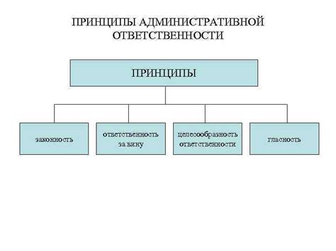 Административная ответственность: основные принципы