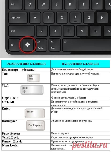 Активация калькулятора на клавиатуре ноутбука: полезные советы