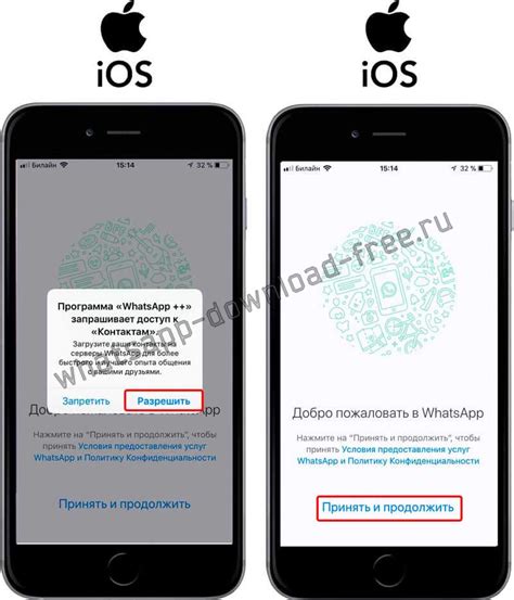 Активация кошки на iPhone: подробная инструкция