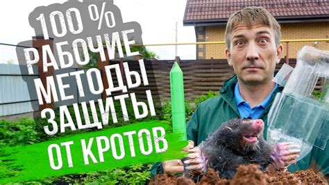 Активность крота при контакте с человеком