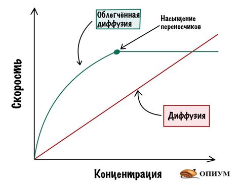 Активный и пассивный поиск