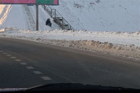 Актуальная ситуация с водоснабжением во Фрунзенском районе