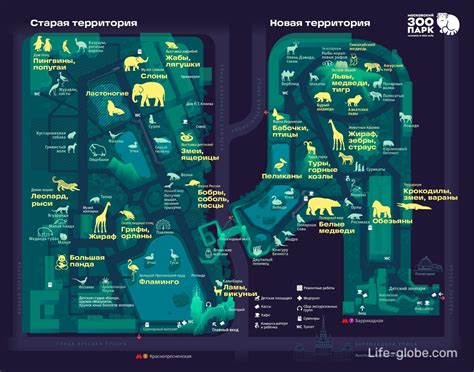 Актуальное расписание посещения зоопарка в Москве