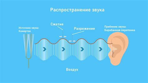 Акустические свойства обоев