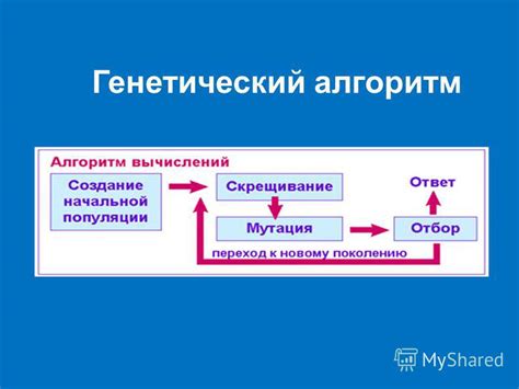 Алгоритмы и применение