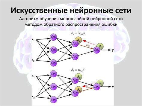 Алгоритмы и структура нейросети