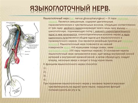 Алгоритм проверки языкоглоточного нерва