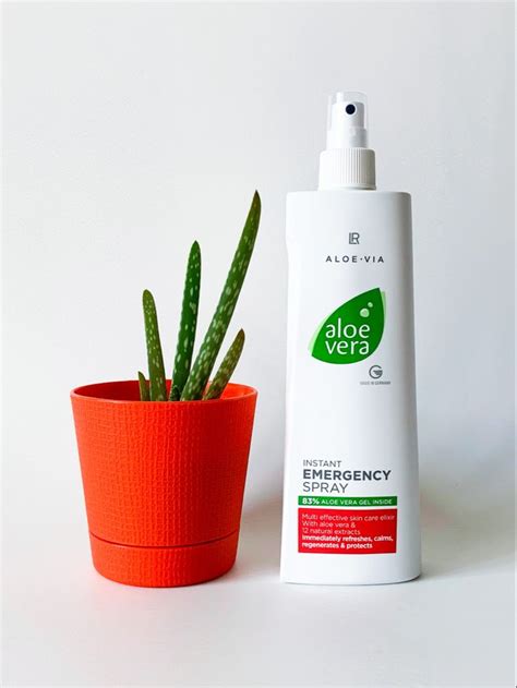 Алоэ вера instant emergency spray для кожи