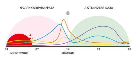 Анализы на определение уровня гормонов