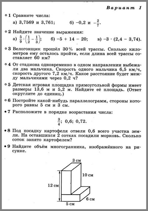 Анализ задачи 220 по математике 6 класса