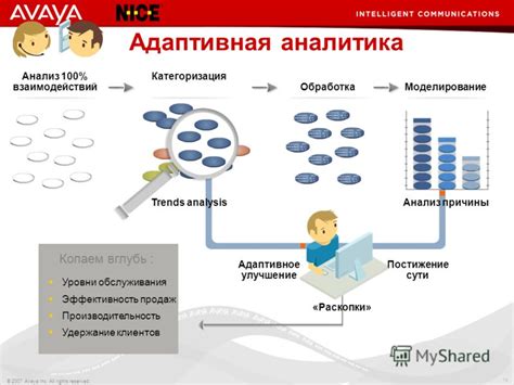 Анализ и категоризация