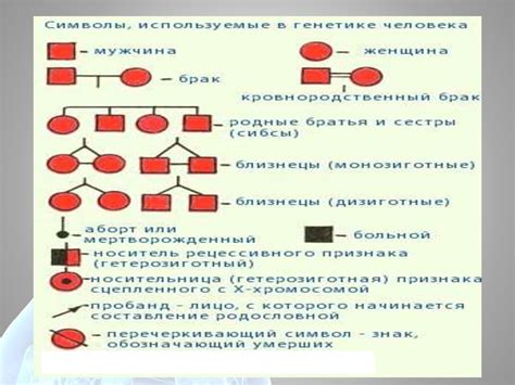 Анализ родословных и семейных архивов