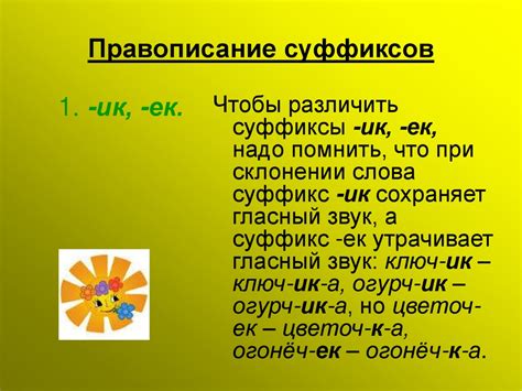 Анализ роли суффиксов в русском языке