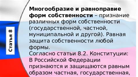 Анализ формы представления статьи конституции