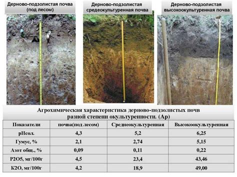 Анализ цвета грунта