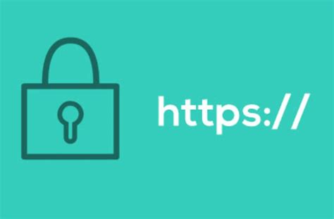 Анализ HTTPS-шифрования и роли SSL-сертификатов