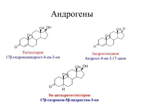 Андрогены у женщин: функции и возникновение