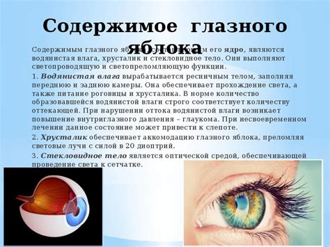 Аномалии глазного яблока: редкие случаи и возможные причины