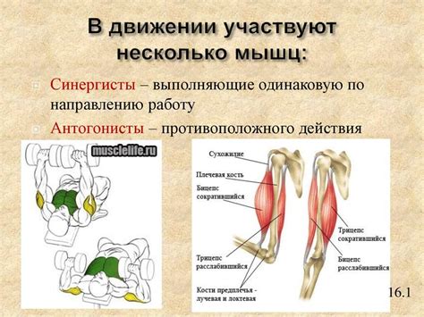 Антагонисты и противники Тимура