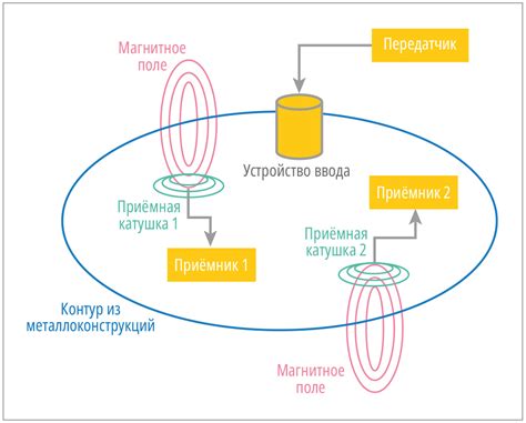 Антенны – важный элемент различия