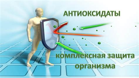 Антиоксидантные свойства и защита от свободных радикалов