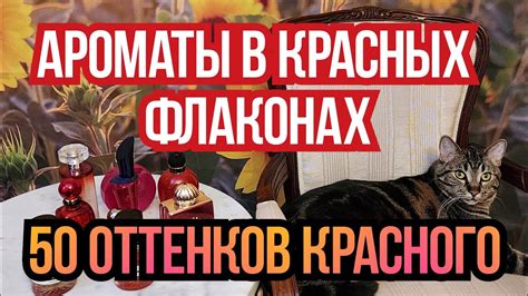 Ароматы с примесью фруктовых оттенков