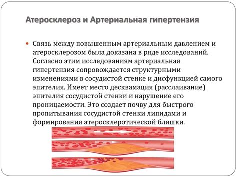 Артериальная гипертензия как одна из причин нарушения реполяризации