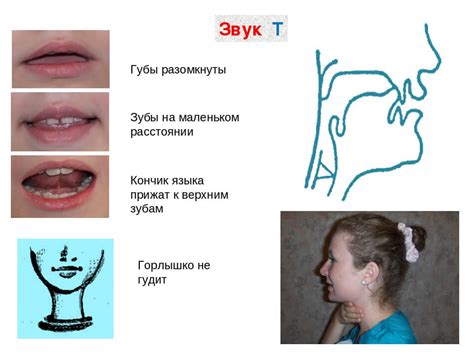 Артикуляция звуков