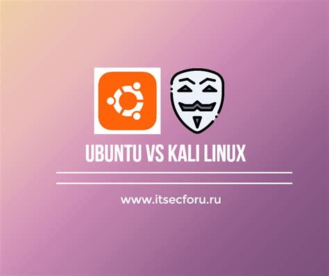 Архитектура: отличия между Kali Linux и Linux