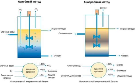 Аэробные и анаэробные процессы