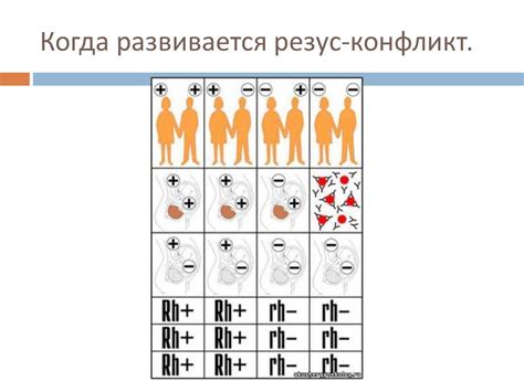 Баги и несовместимость