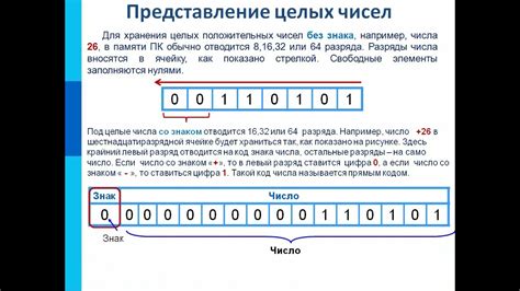 Базовое представление и применение имагинарных чисел