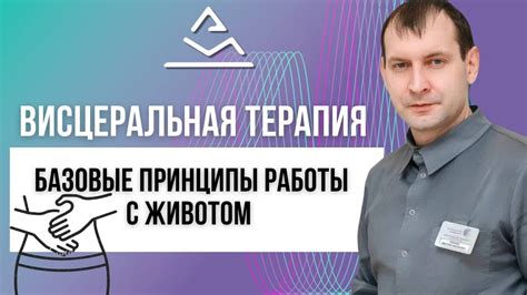 Базовые принципы работы с раптором