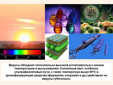 Бактериологическое оружие и его особенности