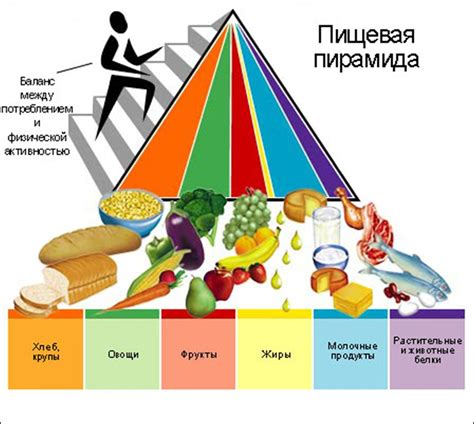 Балансирование питания и правильное питание