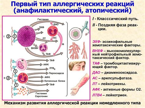 Безопасность и отсутствие аллергических реакций