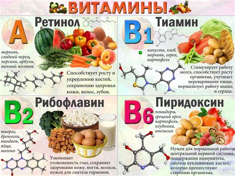 Белки, витамины и минералы