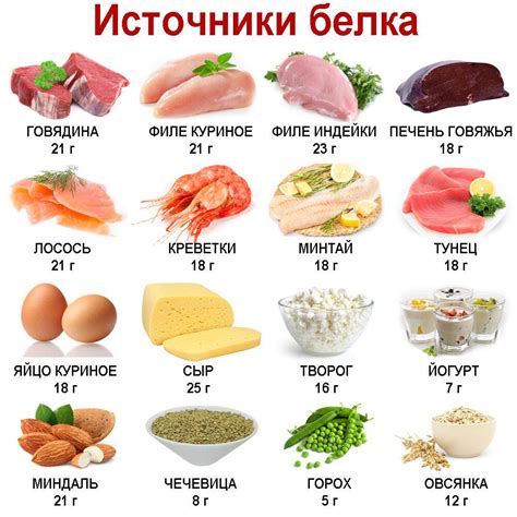 Белковые продукты для сбалансированного питания