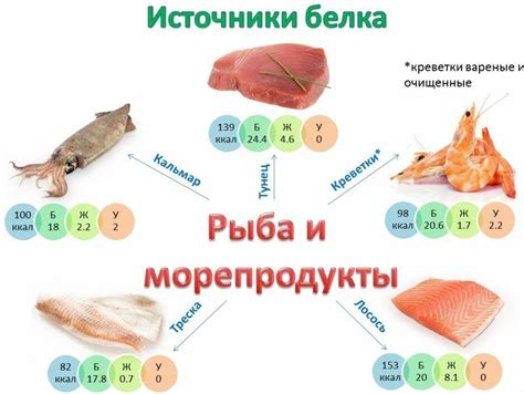 Белок: важный элемент питания