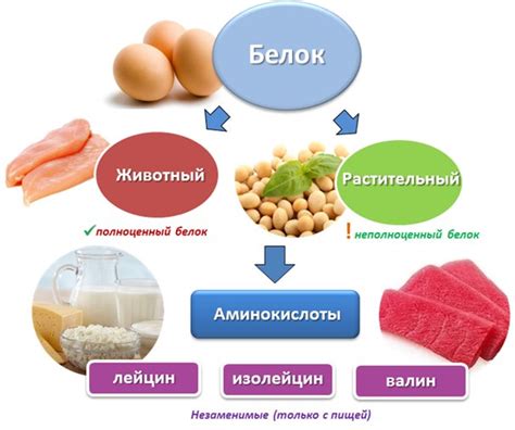 Белок для быстрого прибывания молока