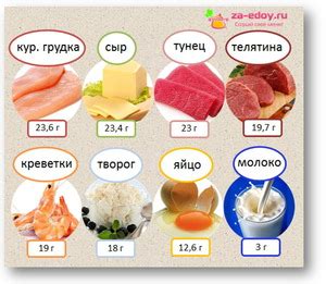 Белок - основа роста организма