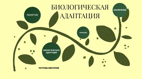 Биологическая адаптация