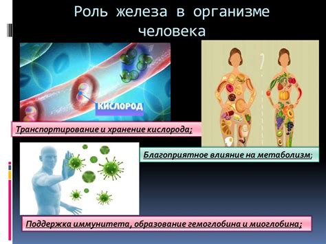 Биологическая энергия и ее роль в организме