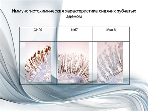 Биологические и генетические особенности людей