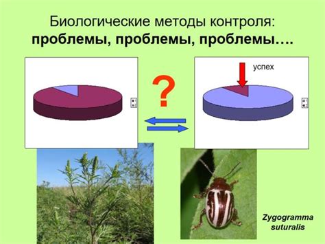 Биологические методы контроля пыжика