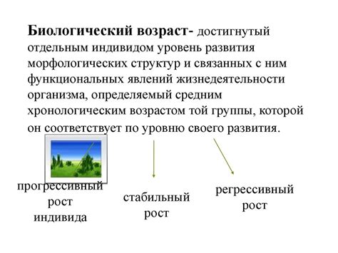 Биологический возраст и хронологический возраст: различия и взаимосвязь