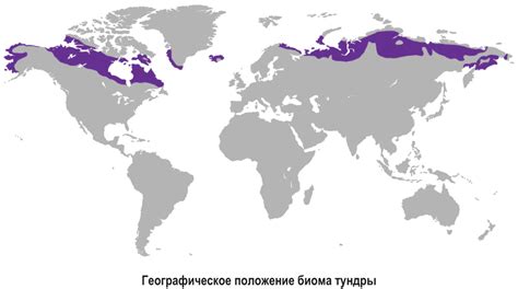 Биом типа тундра и его характеристики